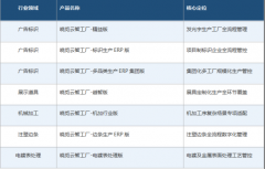 焦点团队具有十余年离散制制垂曲行业数字化深